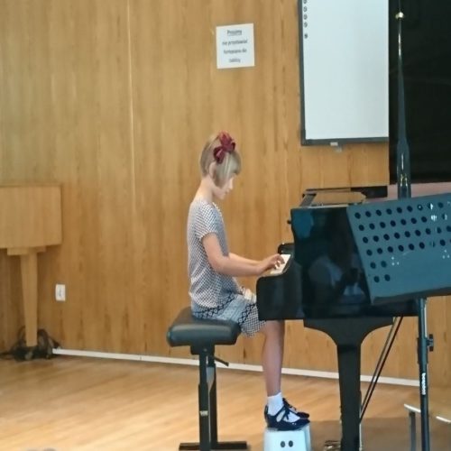 Koncert Instrumentalny (10)