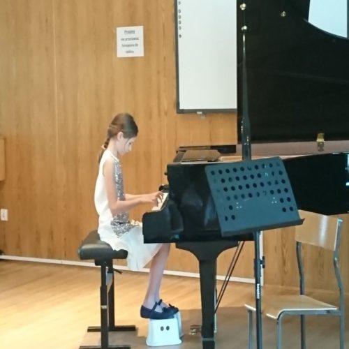 Koncert Instrumentalny (12)