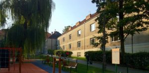SzkolaOut_light